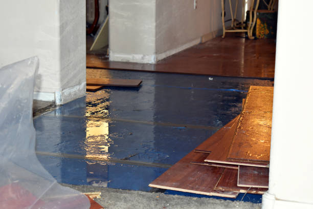 Professional Basement Flooding technician working in Fate, TX